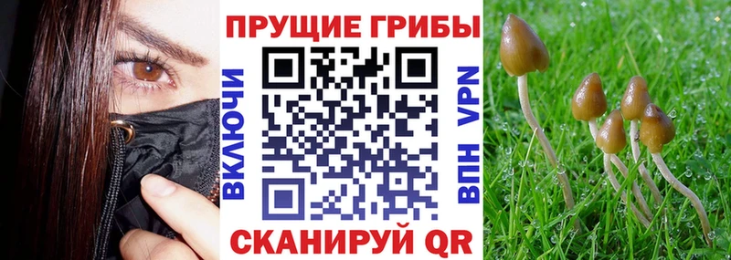 Галлюциногенные грибы мухоморы  Купить где  Галич 