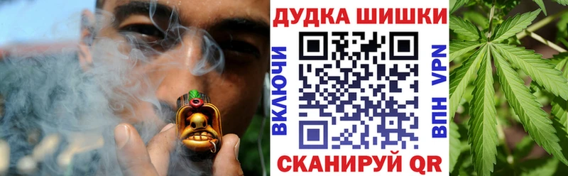 Купить где  Галич  Каннабис сатива 